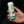 SONAX AirAid Car Air Condition Cleaner Symbiotic - 100ml