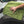 The Rag Company Liquid8r M22 Twist Loop Microfibre Drying Towel