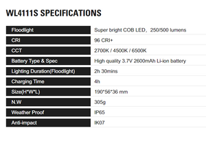 Take Now Handheld Detailing Light - WL4111S