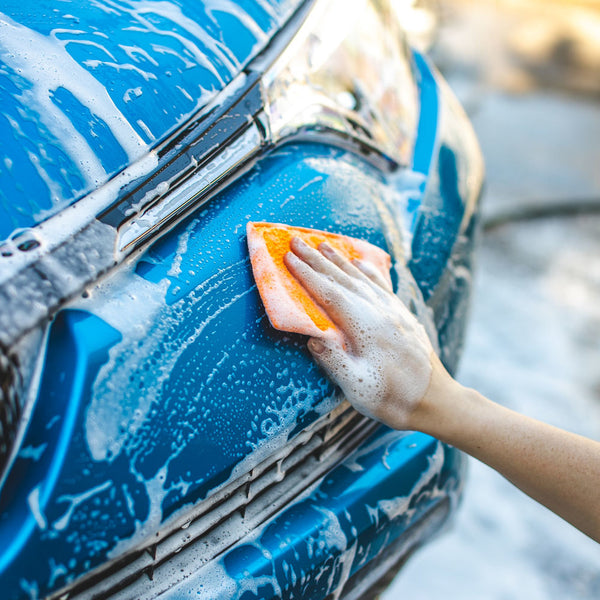 The Rag Company Jersey Bug Scrubber Pad - Blue/Orange