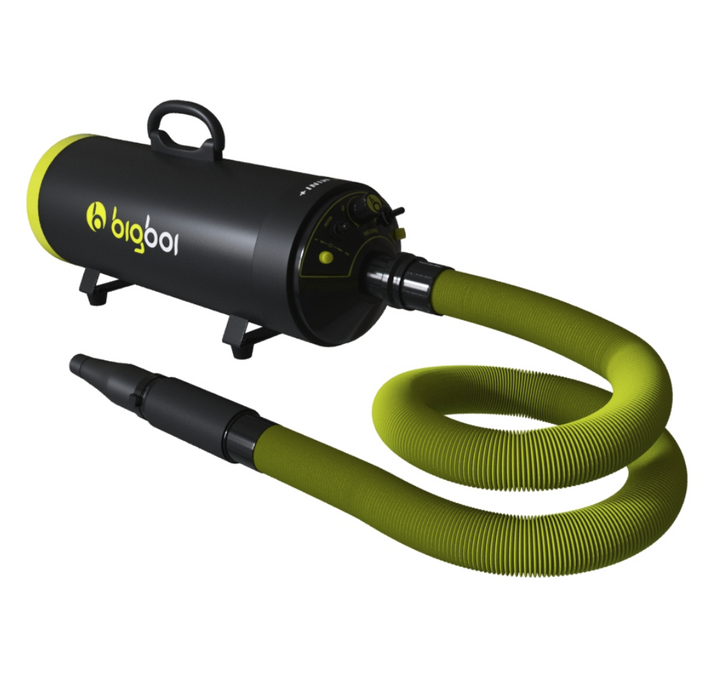 BigBoi BlowR Mini Plus Touchless Blower Dryer
